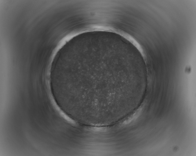 X0000101421381200808041118