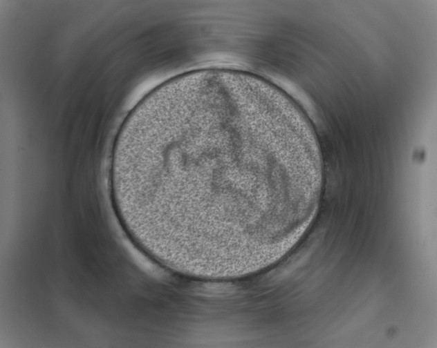 X0000101421383200808041118