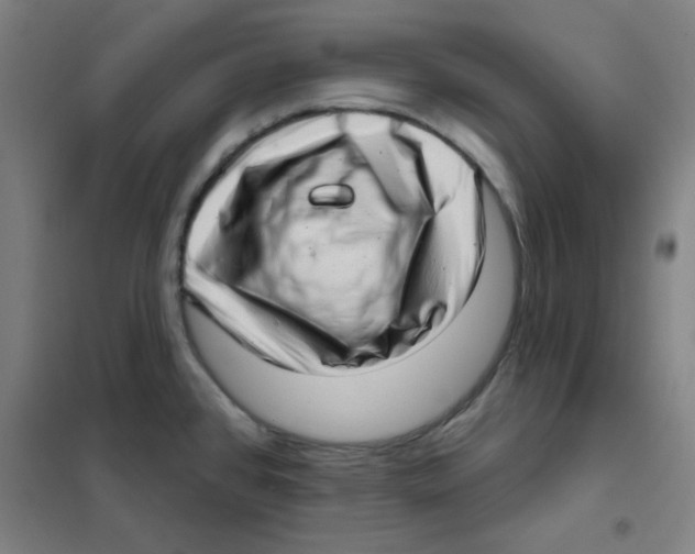 X0000101421384200808041118
