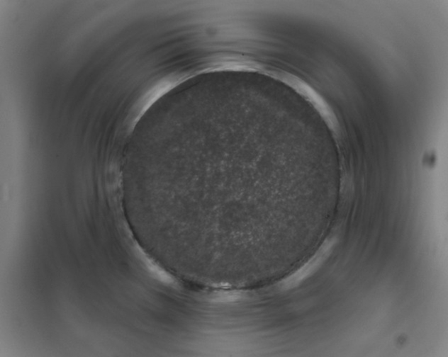 X0000101421385200808041118