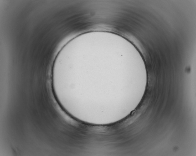 X0000101421387200808041118