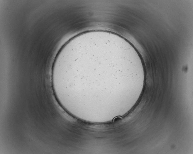 X0000101421388200808041118
