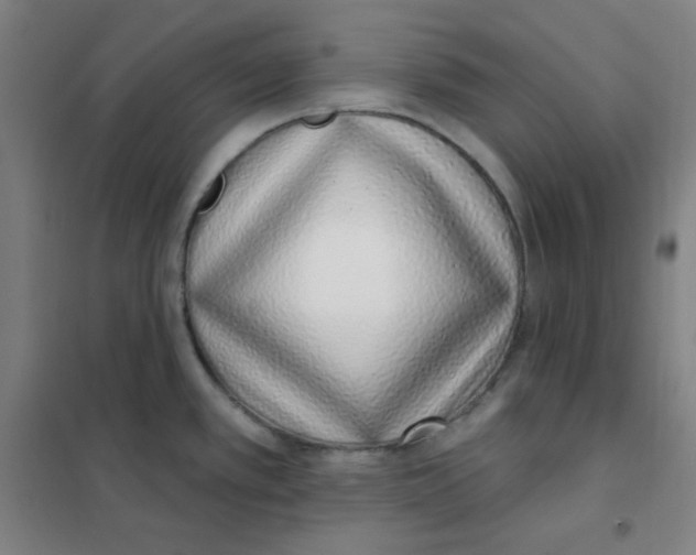 X0000101421389200808041118