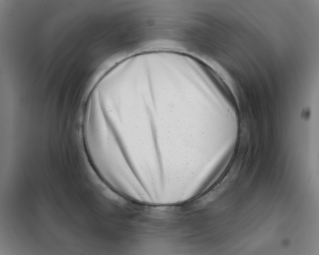 X0000101421390200808041118