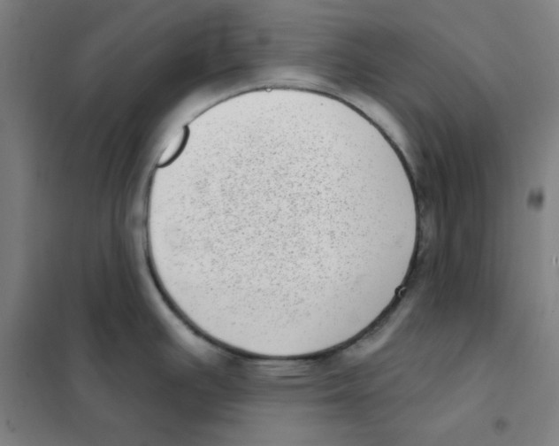 X0000101421391200808041118