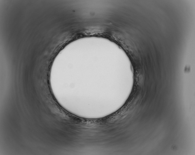X0000101421393200808041117