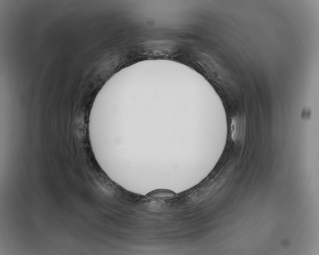 X0000101421395200808041117