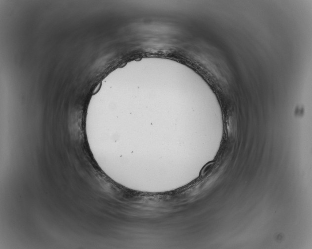 X0000101421396200808041117