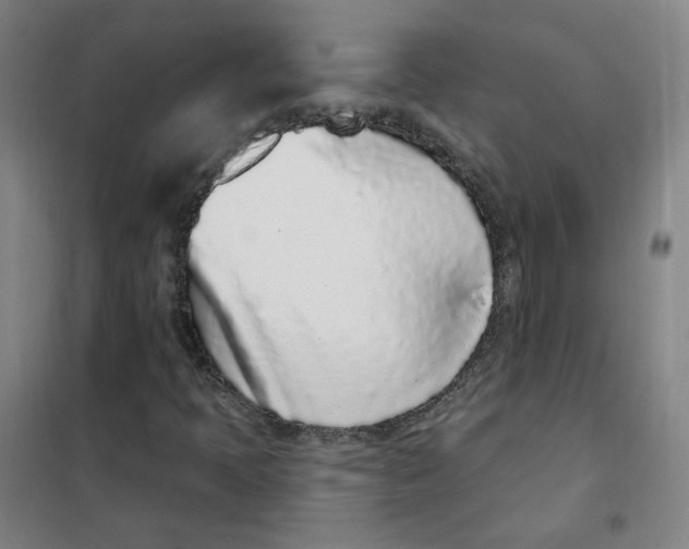 X0000101421397200808041117