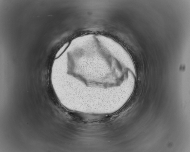 X0000101421398200808041117