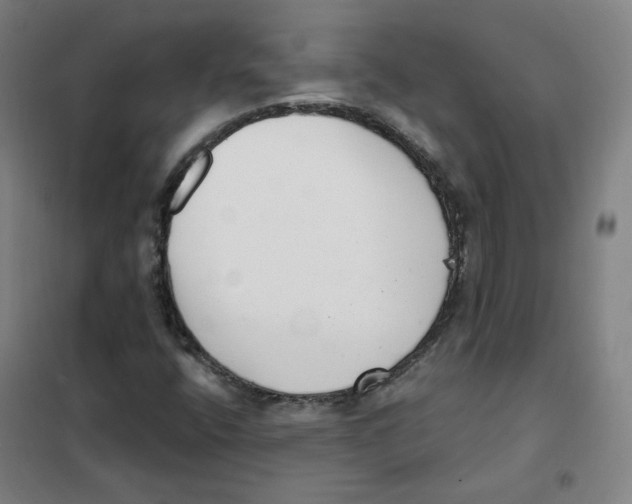 X0000101421400200808041117