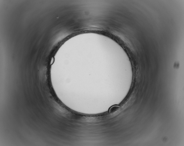 X0000101421402200808041117