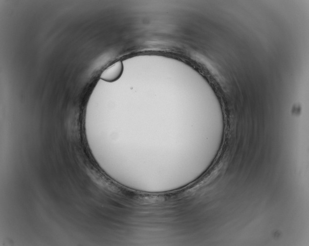 X0000101421403200808041117