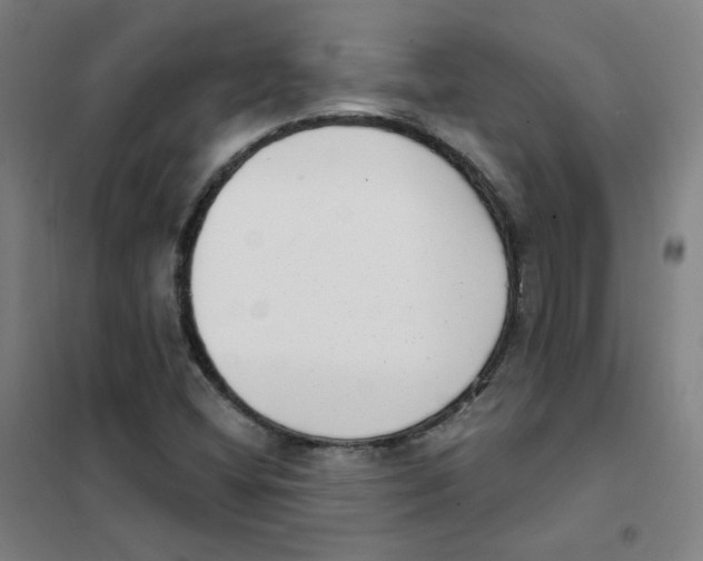 X0000101421404200808041117