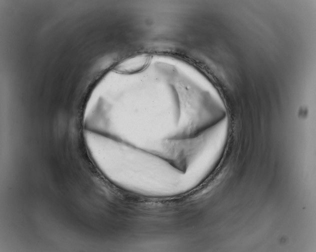 X0000101421405200808041117