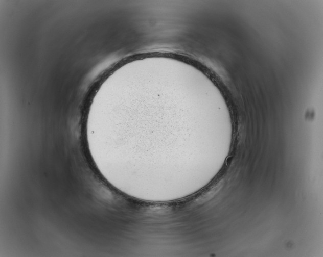 X0000101421406200808041117