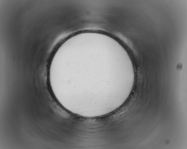 X0000101421408200808041117