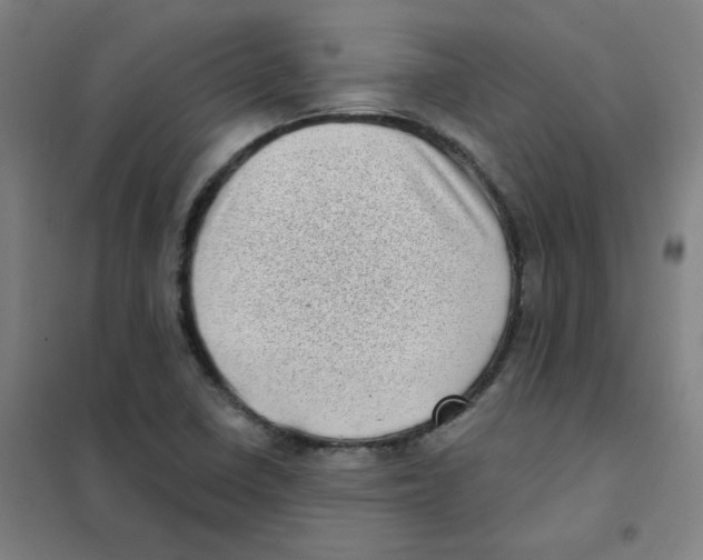 X0000101421410200808041117