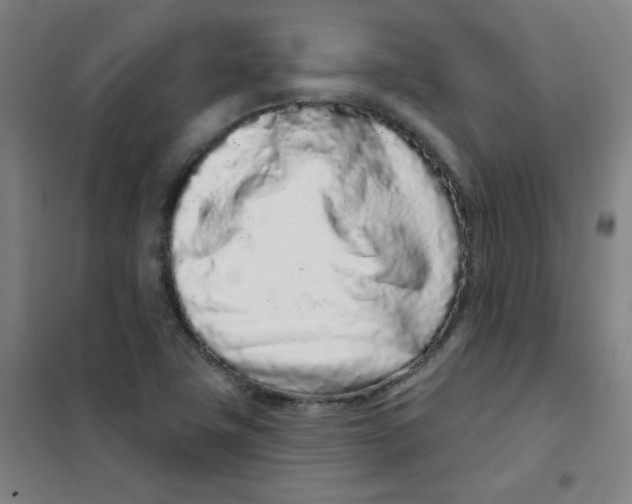 X0000101421411200808041117