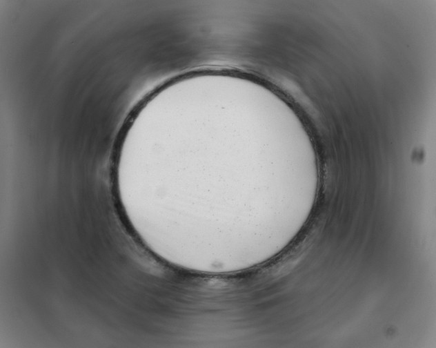 X0000101421412200808041117