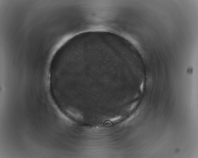 X0000101421414200808041117