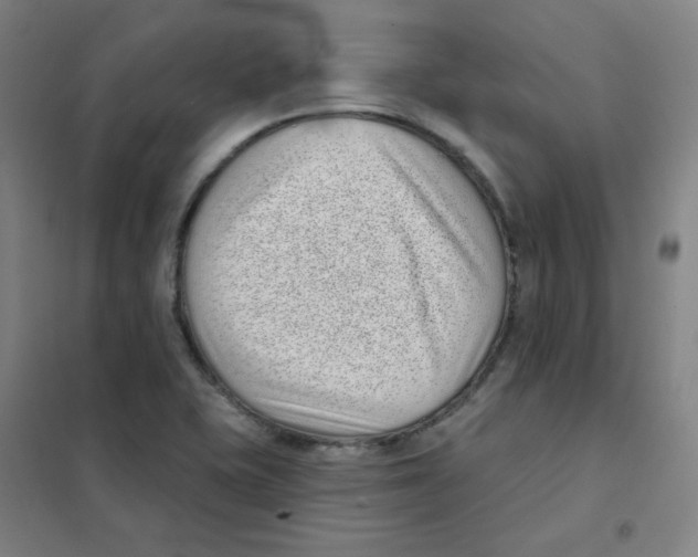 X0000101421415200808041117