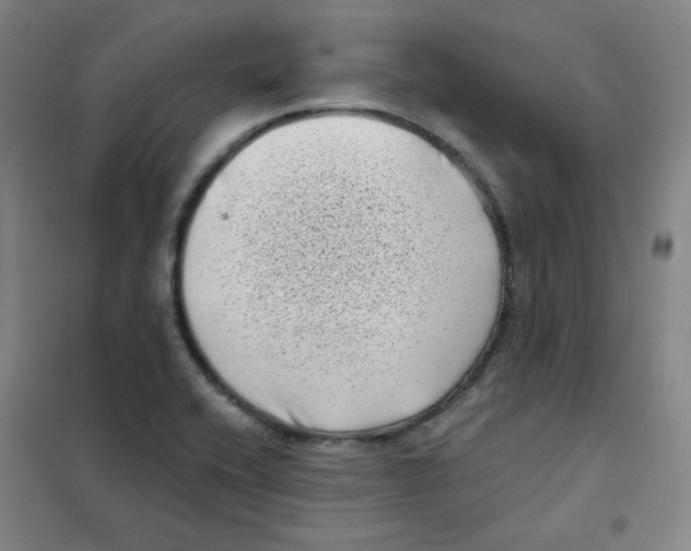 X0000101421416200808041117