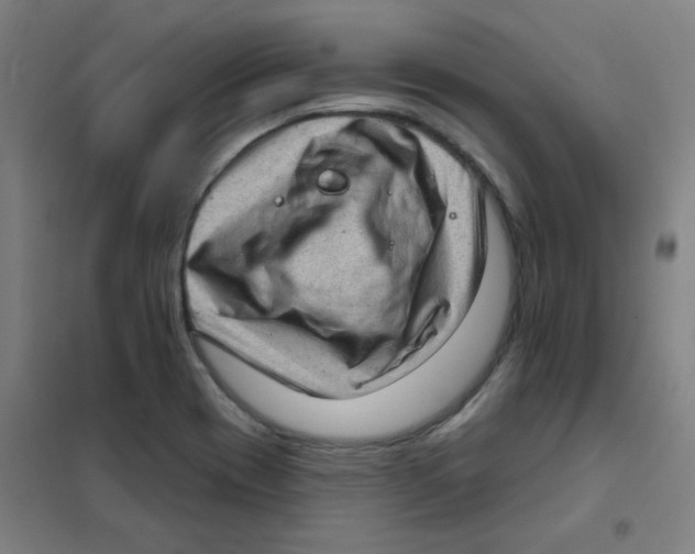 X0000101421417200808041117