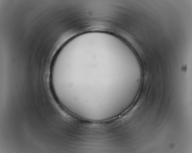 X0000101421418200808041117