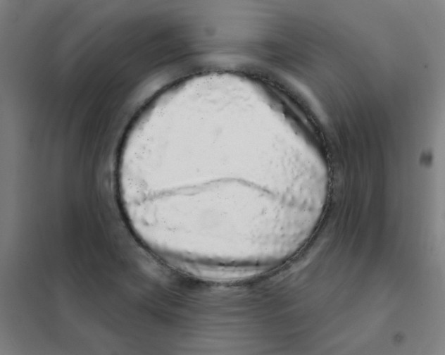 X0000101421419200808041117