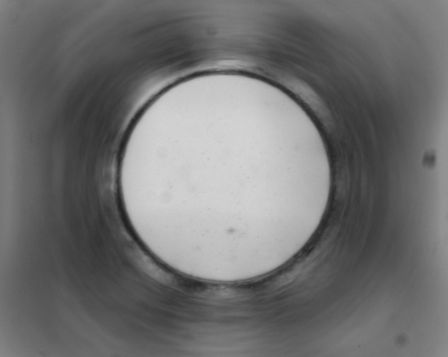X0000101421420200808041117
