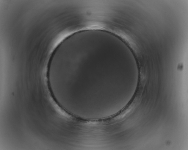 X0000101421422200808041117