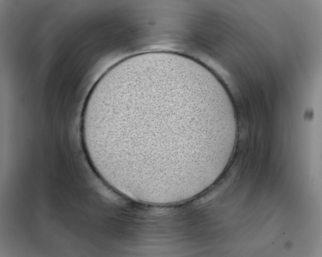 X0000101421423200808041118
