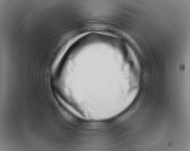 X0000101421425200808041118