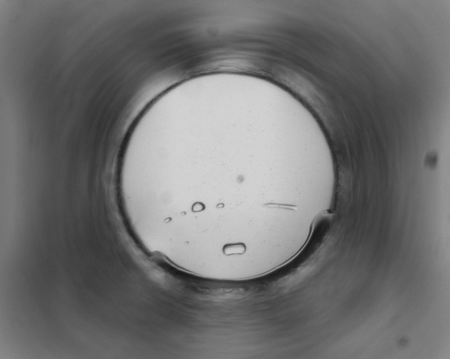 X0000101421426200808041118