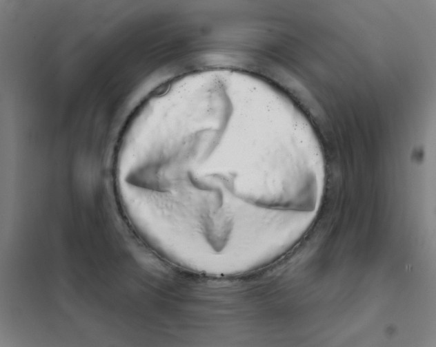 X0000101421427200808041118
