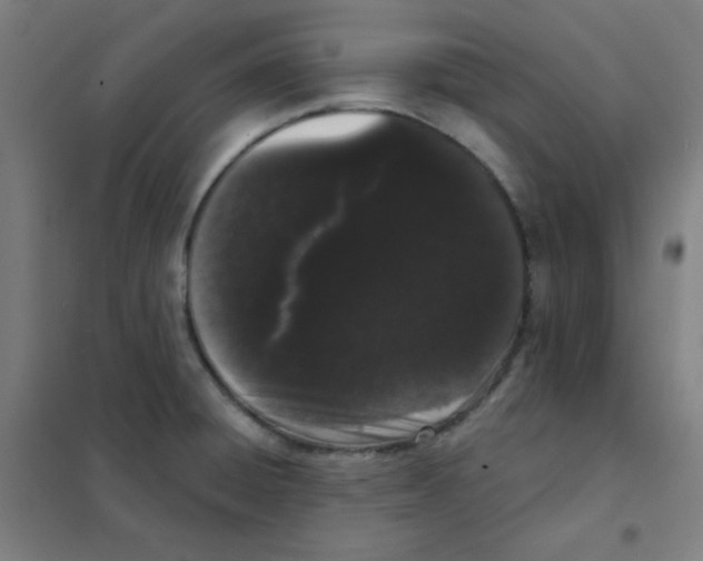 X0000101421428200808041118