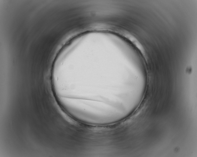 X0000101421429200808041118