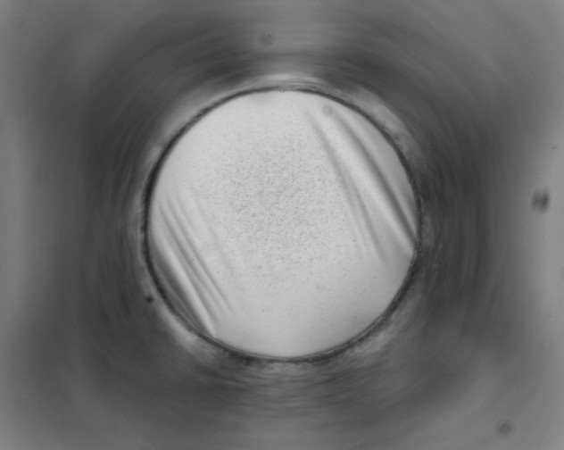 X0000101421430200808041118