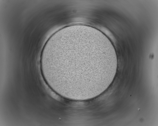 X0000101421431200808041118