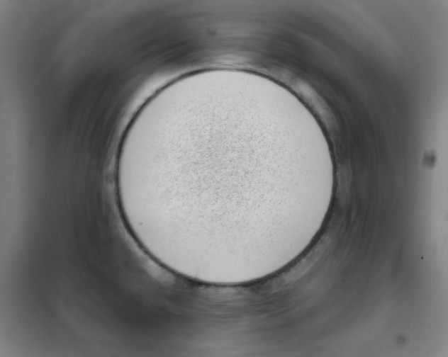 X0000101421432200808041118