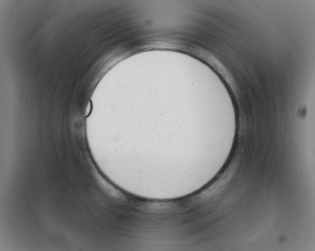 X0000101421433200808041118