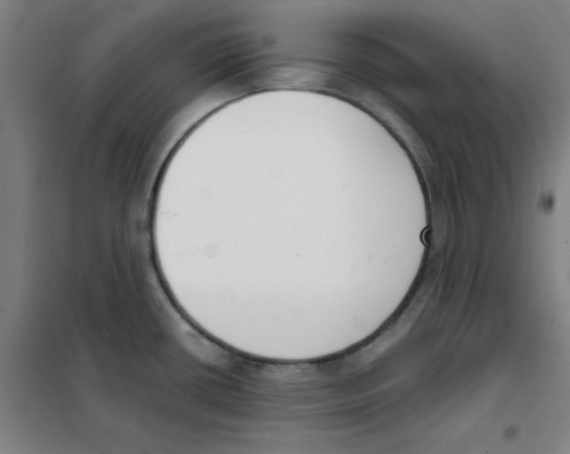 X0000101421434200808041118