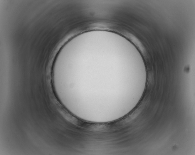 X0000101421435200808041118