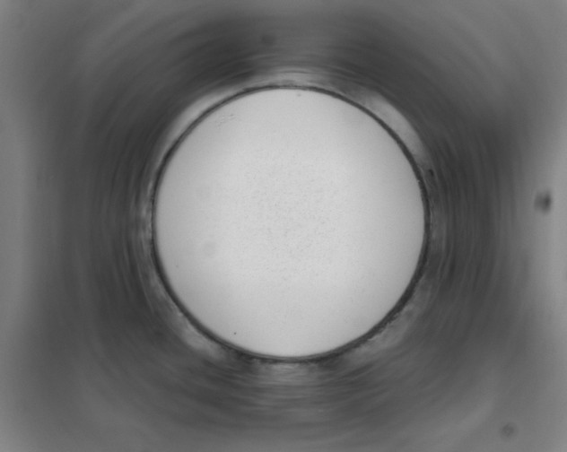 X0000101421436200808041118