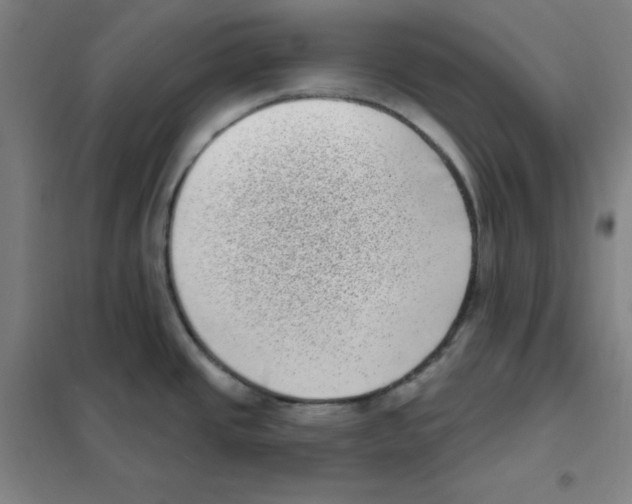 X0000101421437200808041118