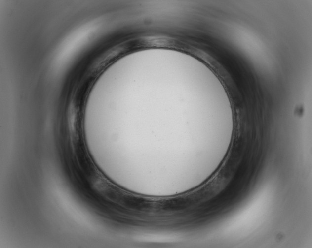 X0000101421438200808041118