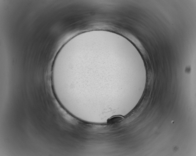 X0000101421439200808041118