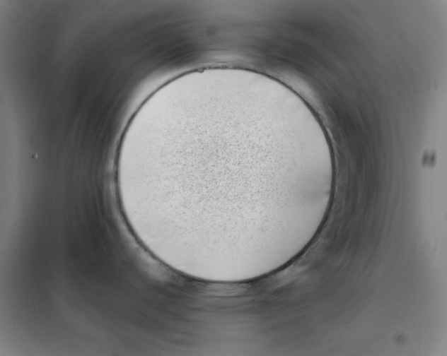 X0000101421440200808041118