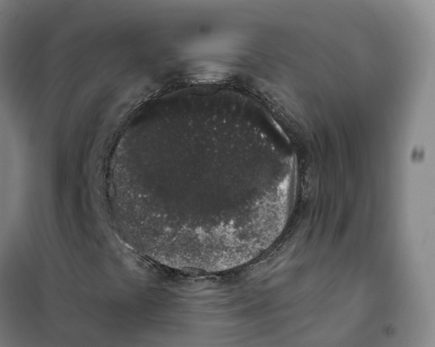 X0000101421441200808041117